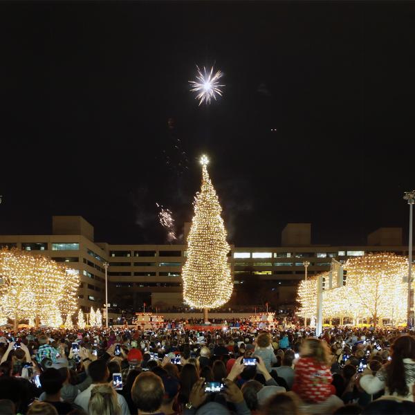 Mayor's Christmas Tree Ceremony with fireworks